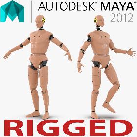 Male Crash Test Dummy Rigged for Maya